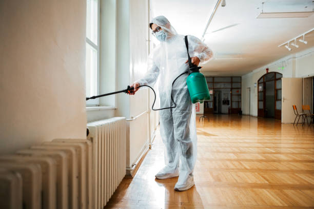 Best Real Estate Pest Inspections  in Peru, IL